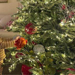 Meet your Posher, Lillian